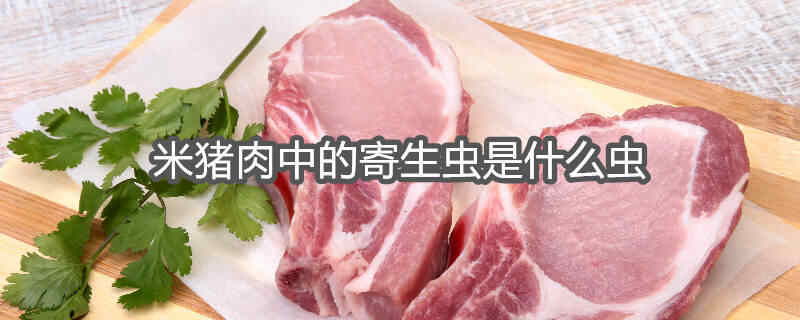 米猪肉有虫卵吗