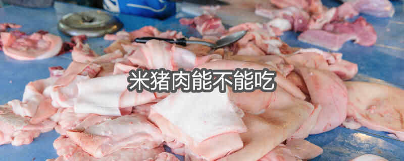 米猪肉高温后能不能吃