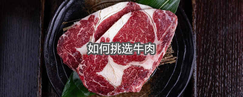 如何挑选牛肉视频