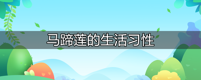 马蹄莲习性是酸性还是碱性