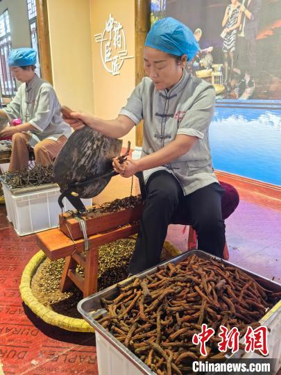 禹州中医药交易会开幕：弘扬中医药文化、繁荣中医药产业