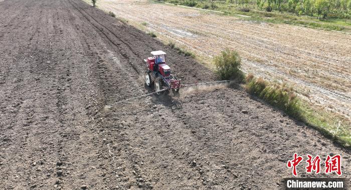 科技“唤醒”盐碱地 河北黄骅1000亩盐碱地探索改良新模式