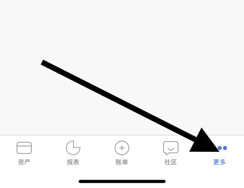 口袋记账怎样查看收入记录