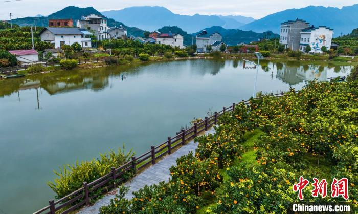 （乡村行·看振兴）湖北秭归：“困牛塘”蝶变乡村“振兴堰”