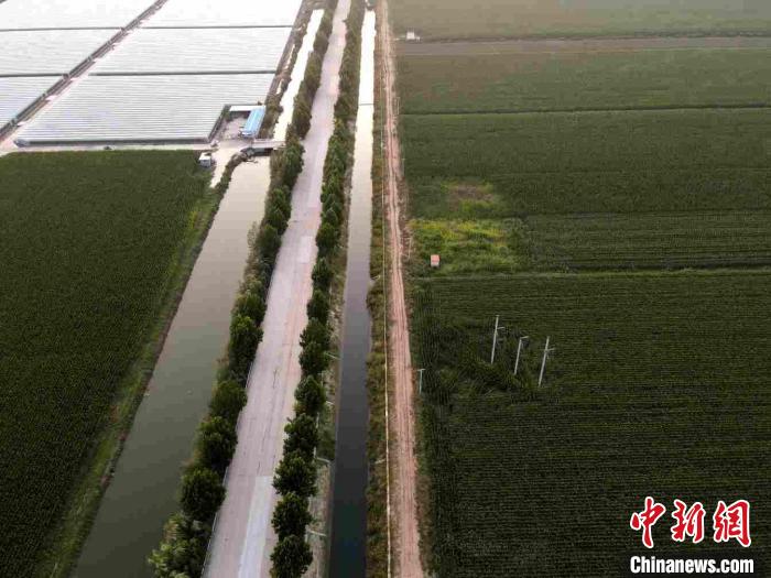 山东冬闲时节加快建设高标准农田 夯实粮食安全根基