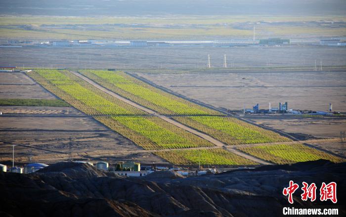 建市5年 青海茫崖积极打造青藏高原特色石油新城