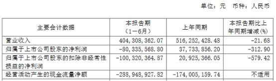 安路科技上半年转亏现金流去年前年负 2021上市募13亿