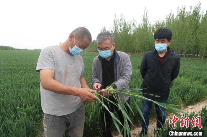 山东蓄积“人才活水” “新农人”成乡村“兴农人”