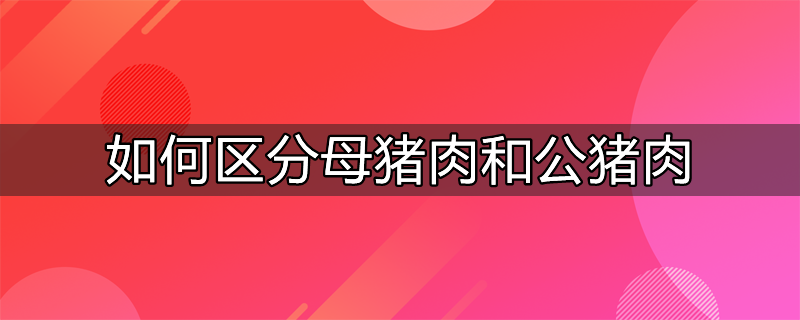 如何区分母猪肉和公猪肉图片