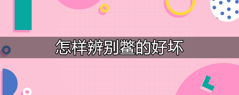 鳖怎么辨别野生