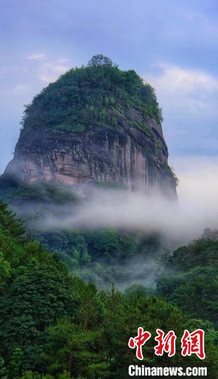 知名文旅代表武夷山共探文旅发展新机遇