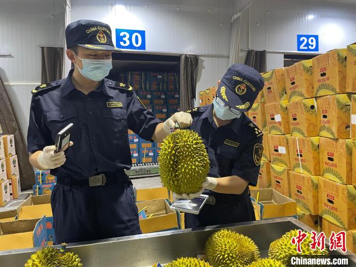 “双节”前 广西友谊关口岸瓜果飘香通关忙