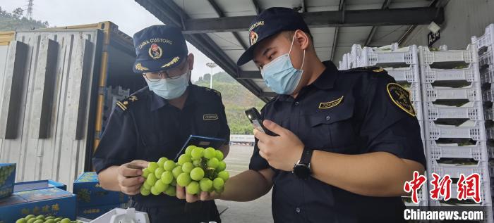 “双节”前 广西友谊关口岸瓜果飘香通关忙