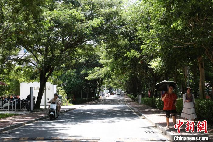 （走进中国乡村）海南博后村：传统黎村蝶变网红“民宿村”  旅游兴旺展现新气象