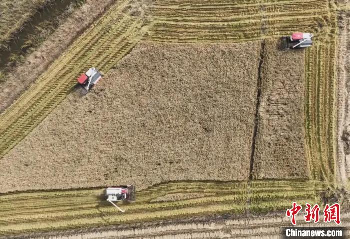 抢秋收 黑龙江粮食作物已收获10942.94万亩