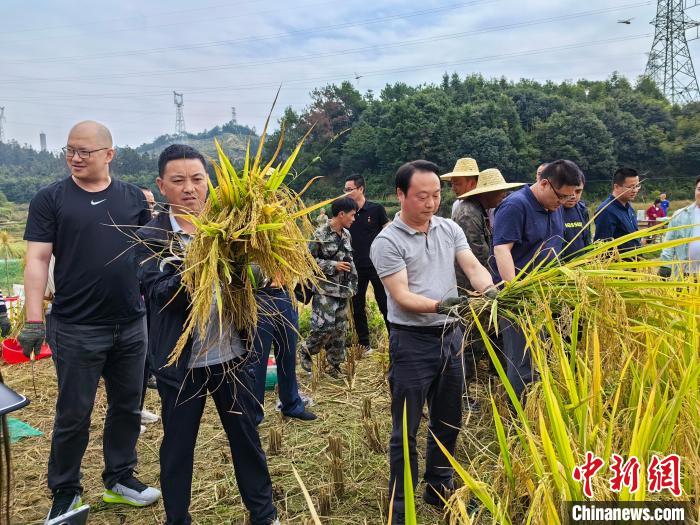 乡约福建：“台港澳示范田”助力乡村振兴