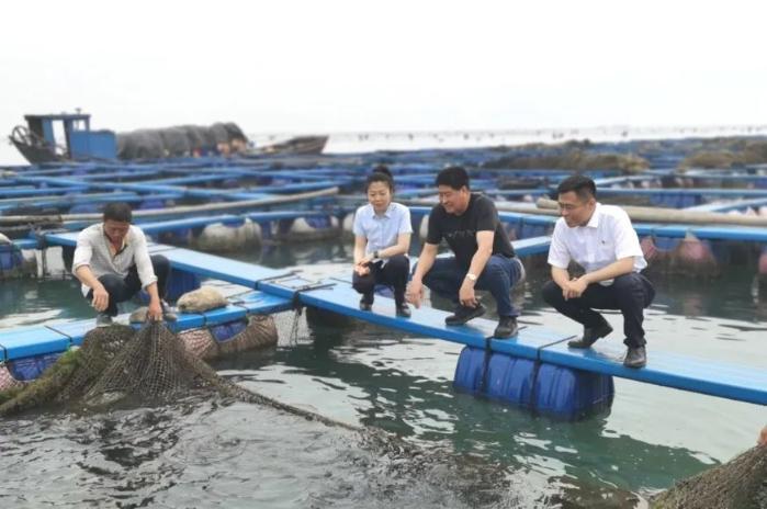 助民企 “建”行动丨“加”出信心 “减”出活力 助推民企“串珠成链”