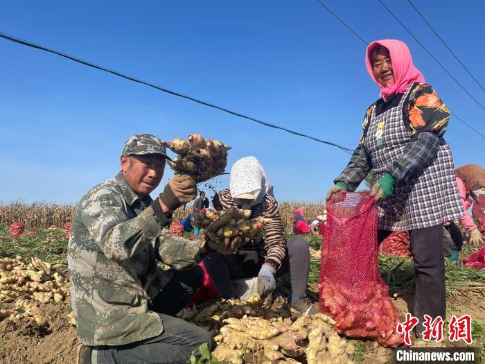 辽宁大连：金融注活水  擘画乡村振兴新愿景