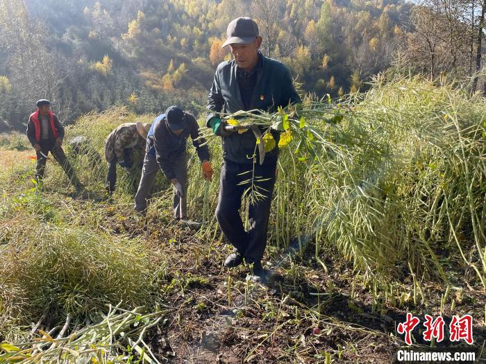 从无人问津到美丽休闲乡村 青海大通高原农村蝶变记