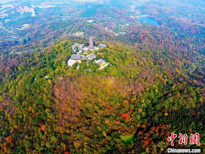 安徽多措并举推进生态保护监管和生物多样性保护