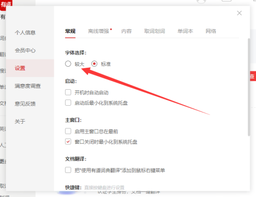 有道词典字体怎么调大