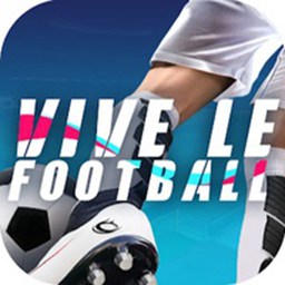 vive le football(足球万岁)