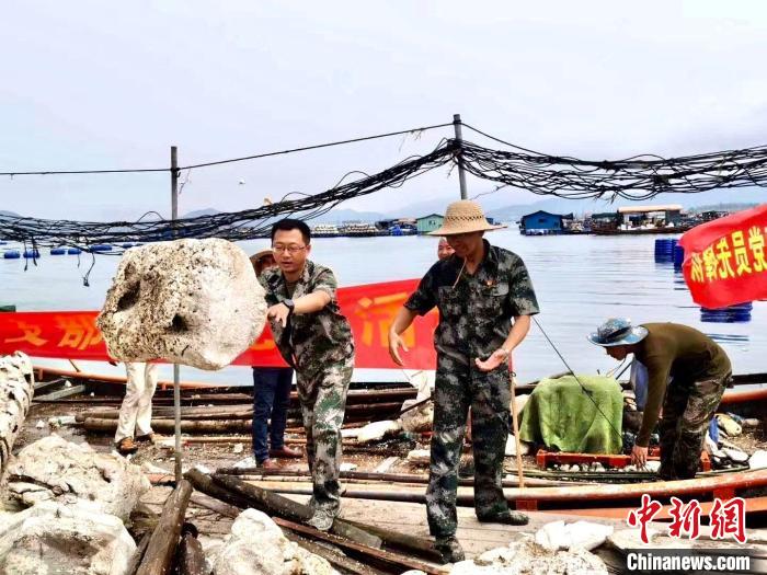 （乡村行·看振兴）福建宁德：“海上枫桥”让沿海群众享受更多幸福感和安全感