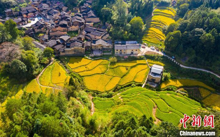 （乡村行·看振兴）文旅融合 福建屏南传统古村落焕发“新生机”