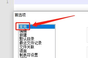 notepad++标红