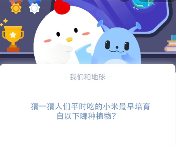 我们平时吃的米是什么米