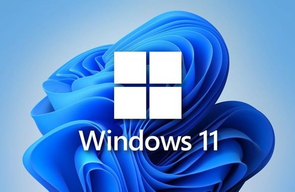 win11怎么关掉防火墙 win11关闭防火墙怎么操作