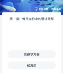 猜一猜谁是海豹中的潜泳冠军 -支付宝2023.11.17神奇海洋科普问答答案