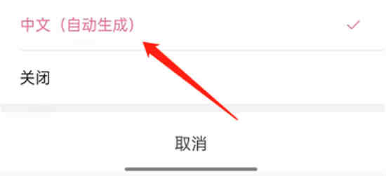 哔哩哔哩短视频里的字幕怎么打开 哔哩哔哩短视频字幕开关设置方法