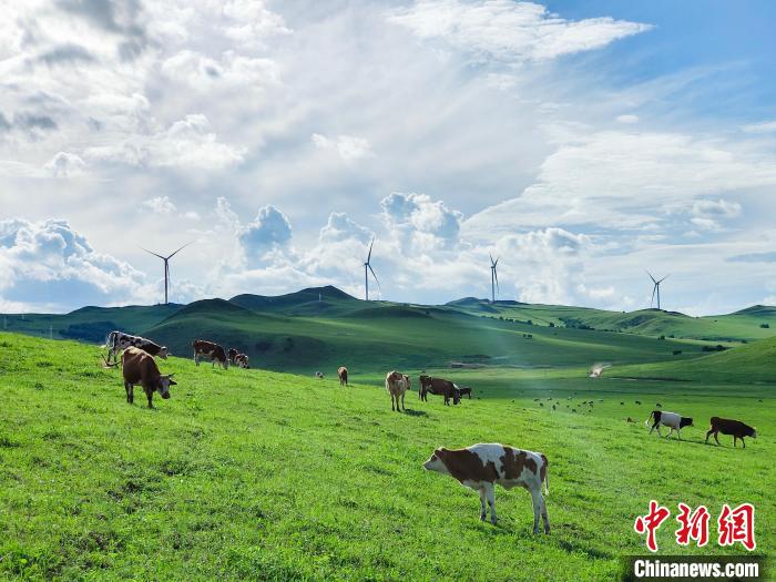 年发电量超100亿千瓦时风电基地在内蒙并网发电