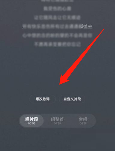 网易云音乐怎么唱歌评分