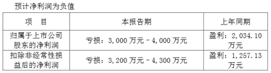 大宏立2023年预亏3000万至4000万 2020年上市募4.8亿