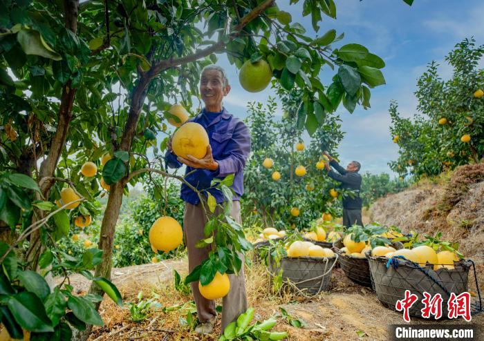 江西上饶：延伸农业产业链 拓宽农民致富增收渠道