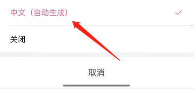 哔哩哔哩短视频怎么开启字幕功能